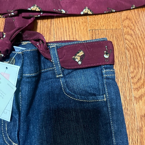 Janie and Jack Equestrian Jeans and silk Blouse.  HTF size 4 - Picture 4 of 4